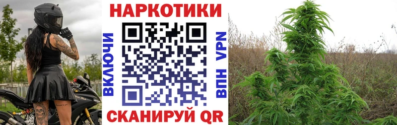 Канабис Высоцк