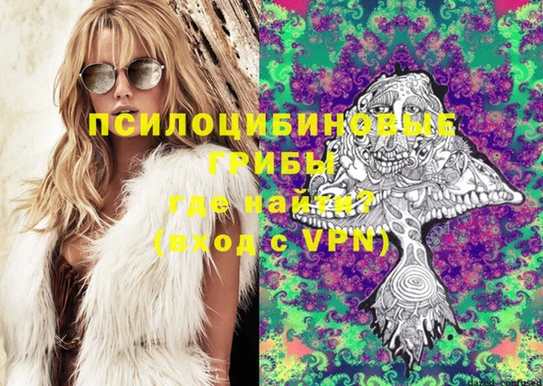 амф Белокуриха