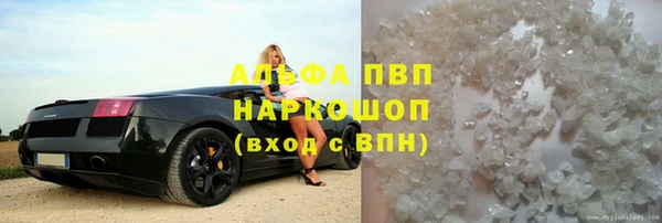 дурь Богданович