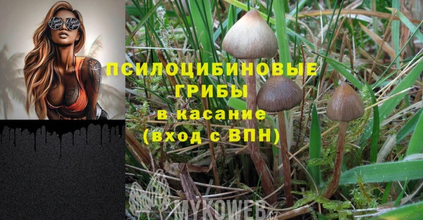амф Белокуриха