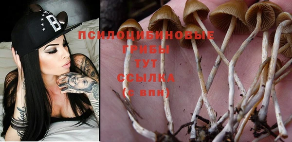 амф Белокуриха